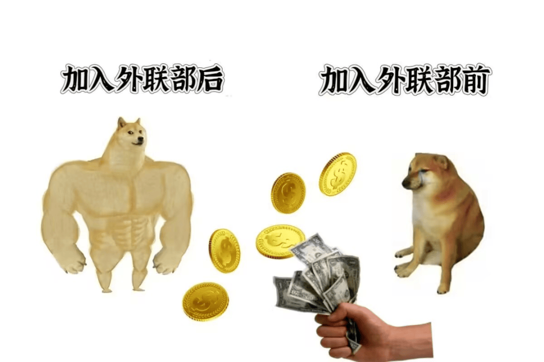 学生会发展联络中心九游会登录j9入口(图15)