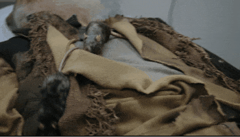 豆瓣95!锁定年度天花板!j9九游会俱乐部登录入口(图7) 豆瓣95!锁定年度天花板!j9九游会俱乐部登录入口(图7)